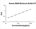 Human ESM1/Endocan PicoKine ELISA Kit standard curve