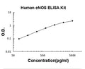 Human NOS3 PicoKine ELISA Kit standard curve