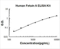 Human Fetuin A PicoKine ELISA Kit standard curve