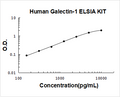 Human Galectin-1 PicoKine ELISA Kit standard curve