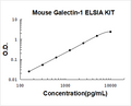 Mouse Galectin-1 PicoKine ELISA Kit standard curve