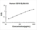 Human CD10/Neprilysin PicoKine ELISA Kit standard curve