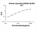 Human Lipocalin-2/NGAL PicoKine ELISA Kit standard curve