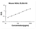 Mouse Lipocalin-2/NGAL PicoKine ELISA Kit standard curve