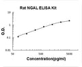 Rat Lipocalin-2/NGAL PicoKine ELISA Kit standard curve|Rat Lipocalin-2/NGAL PicoKine ELISA Kit standard curve|Rat Lipocalin-2/NGAL PicoKine ELISA Kit standard curve|Rat Lipocalin-2/NGAL PicoKine ELISA Kit standard curve|Rat Lipocalin-2/NGAL PicoKine ELISA Kit standard curve|Rat Lipocalin-2/NGAL PicoKine ELISA Kit standard curve|Rat Lipocalin-2/NGAL PicoKine ELISA Kit standard curve