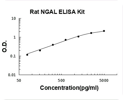 Rat Lipocalin-2/NGAL PicoKine ELISA Kit standard curve|Rat Lipocalin-2/NGAL PicoKine ELISA Kit standard curve|Rat Lipocalin-2/NGAL PicoKine ELISA Kit standard curve|Rat Lipocalin-2/NGAL PicoKine ELISA Kit standard curve|Rat Lipocalin-2/NGAL PicoKine ELISA Kit standard curve|Rat Lipocalin-2/NGAL PicoKine ELISA Kit standard curve|Rat Lipocalin-2/NGAL PicoKine ELISA Kit standard curve