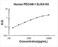 Human PECAM-1/CD31 PicoKine ELISA Kit standard curve