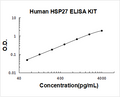 Human HSP27 PicoKine ELISA Kit standard curve