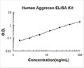 Human Aggrecan PicoKine ELISA Kit standard curve