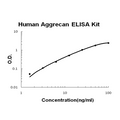 Human Aggrecan PicoKine ELISA Kit standard curve