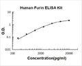 Human Furin PicoKine ELISA Kit standard curve