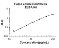 Horse equine Endothelin PicoKine ELISA Kit standard curve