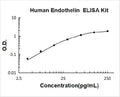 Human Endothelin PicoKine ELISA Kit standard curve