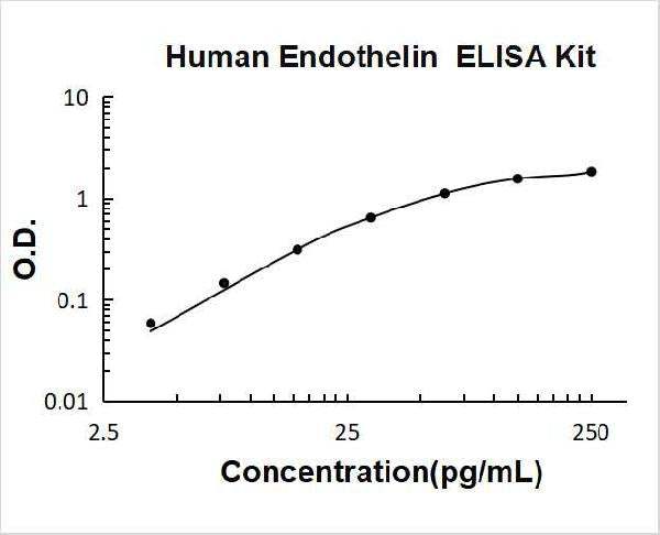 Human Endothelin PicoKine ELISA Kit standard curve