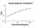 Human Kallikrein 14 PicoKine ELISA Kit standard curve