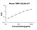 Mouse TIMP-2 PicoKine ELISA Kit standard curve