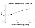 Human Cathepsin S PicoKine ELISA Kit standard curve