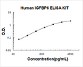 Human IGFBP6 PicoKine ELISA Kit standard curve