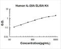 Human IL-28A PicoKine ELISA Kit standard curve
