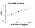 Rat RAGE PicoKine ELISA Kit standard curve