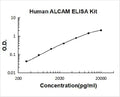 Human ALCAM PicoKine ELISA Kit standard curve