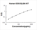 Human  ICOS PicoKine ELISA Kit standard curve