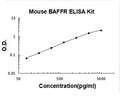 Mouse TNFRSF13C/BAFFR PicoKine ELISA Kit standard curve