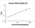 Human PON1 PicoKine ELISA Kit standard curve