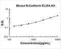 Mouse Cadherin-2/N-Cadherin PicoKine ELISA Kit standard curve