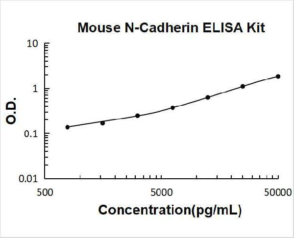 Mouse Cadherin-2/N-Cadherin PicoKine ELISA Kit standard curve