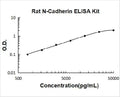Rat Cadherin-2/N-Cadherin PicoKine ELISA Kit standard curve