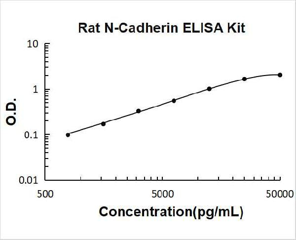 Rat Cadherin-2/N-Cadherin PicoKine ELISA Kit standard curve