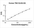 Human Tenascin-C PicoKine ELISA Kit standard curve