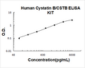 Human Cystatin B PicoKine ELISA Kit standard curve