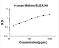 Human Midkine PicoKine ELISA Kit standard curve