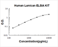 Human Lumican PicoKine ELISA Kit standard curve