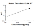 Human Thioredoxin PicoKine ELISA Kit standard curve