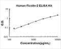 Human Ficolin-2 PicoKine ELISA Kit standard curve