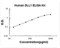 Human DLL1 PicoKine ELISA Kit standard curve