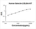 Human Galectin-2 PicoKine ELISA Kit standard curve
