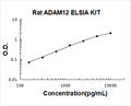 Rat ADAM12 PicoKine ELISA Kit standard curve