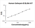 Human Cathepsin E PicoKine ELISA Kit standard curve