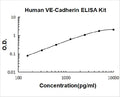 Human  VE-Cadherin/CD144 PicoKine ELISA Kit standard curve