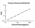 Human Chemerin/RARRES2 PicoKine ELISA Kit standard curve