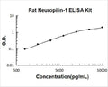 Rat Neuropilin-1 PicoKine ELISA Kit standard curve