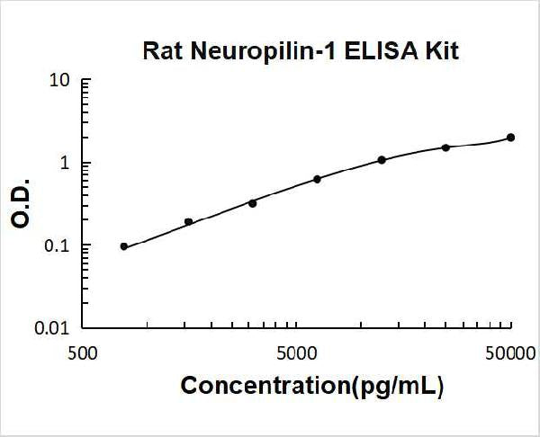 Rat Neuropilin-1 PicoKine ELISA Kit standard curve