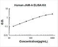 Human JAM-A PicoKine ELISA Kit standard curve