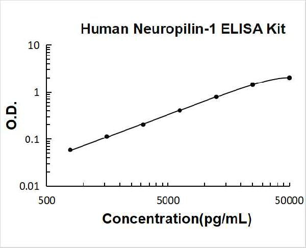 Human Neuropilin-1 PicoKine ELISA Kit standard curve