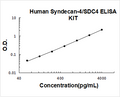 Human Syndecan-4/SDC4 PicoKine ELISA Kit standard curve