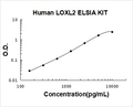 Human LOXL2 PicoKine ELISA Kit standard curve
